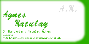 agnes matulay business card