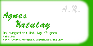 agnes matulay business card